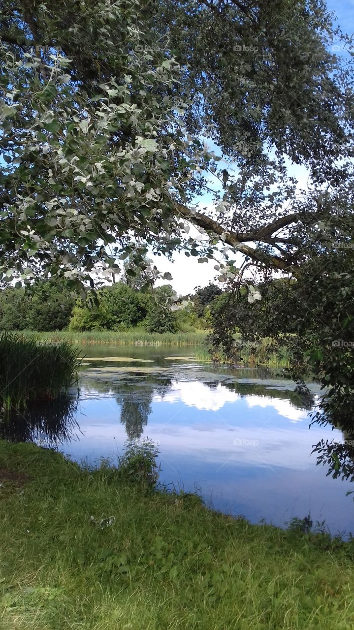 Backwell lake