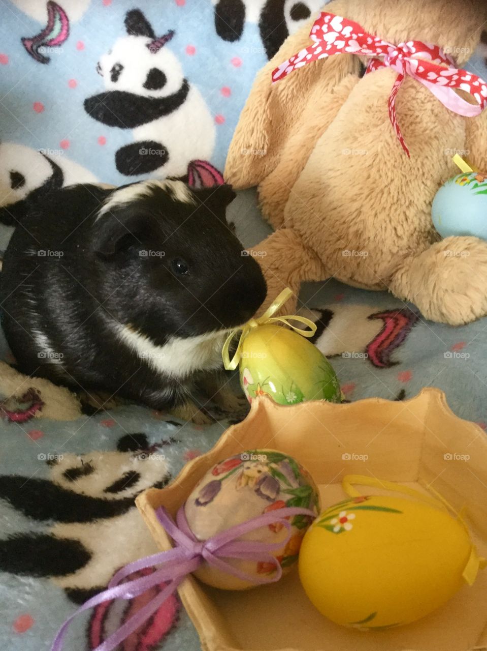 Timmy playing with easter eggs 