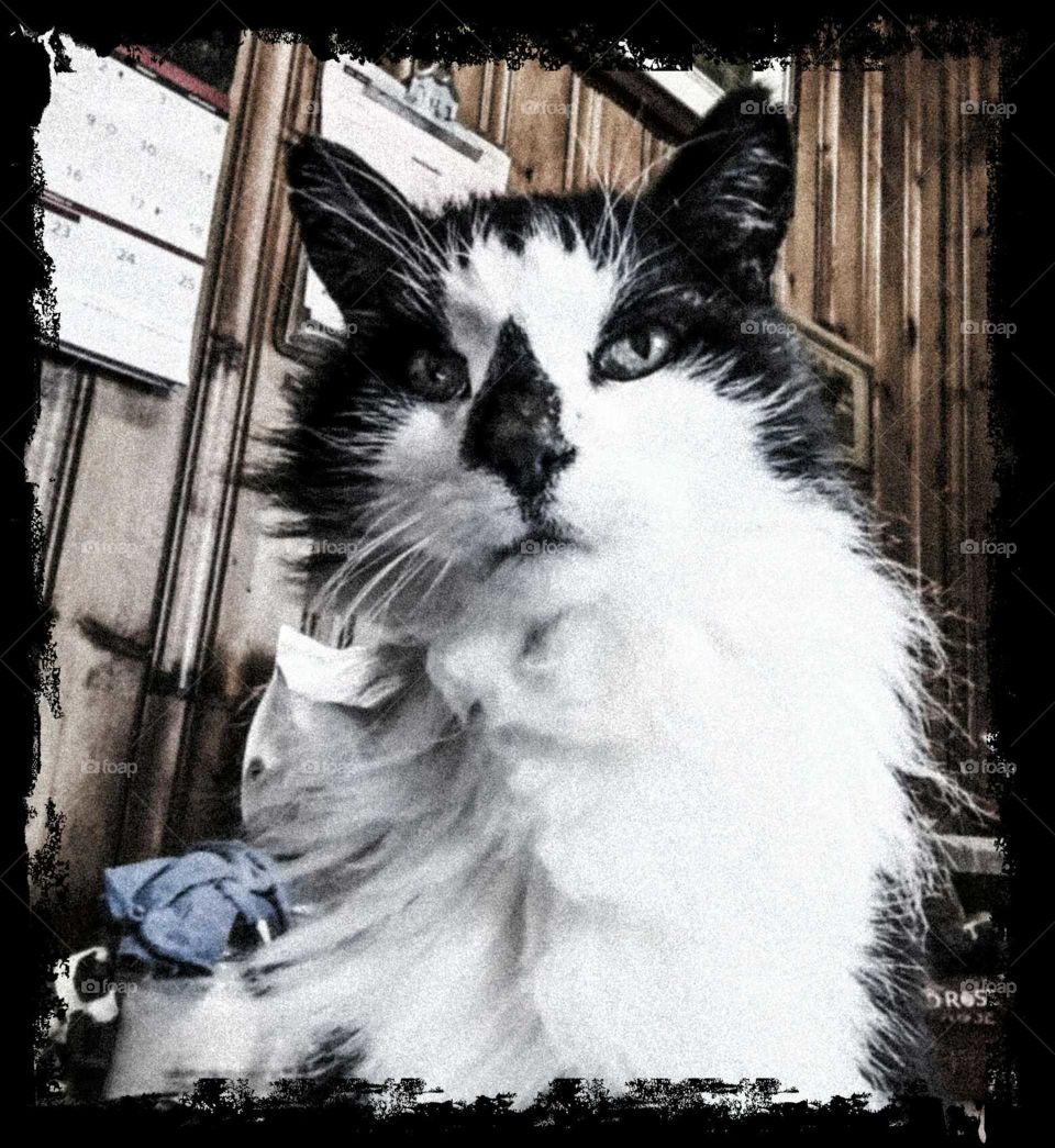 Once Upon An Early Spring Day