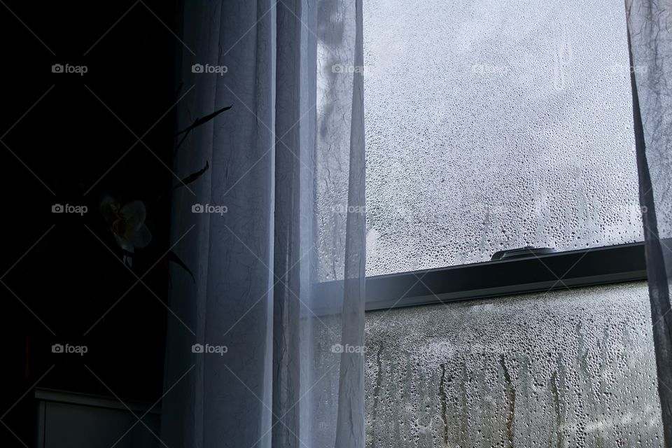 Frosted windowpane, a telltale sign of winter. 