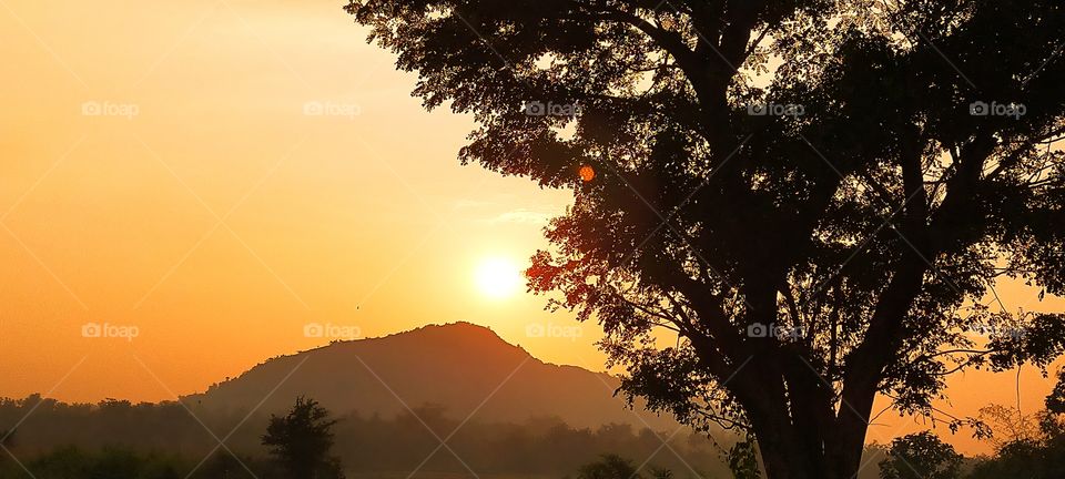Vibrant sun setting would be a festival to the eyes of nature lovers.