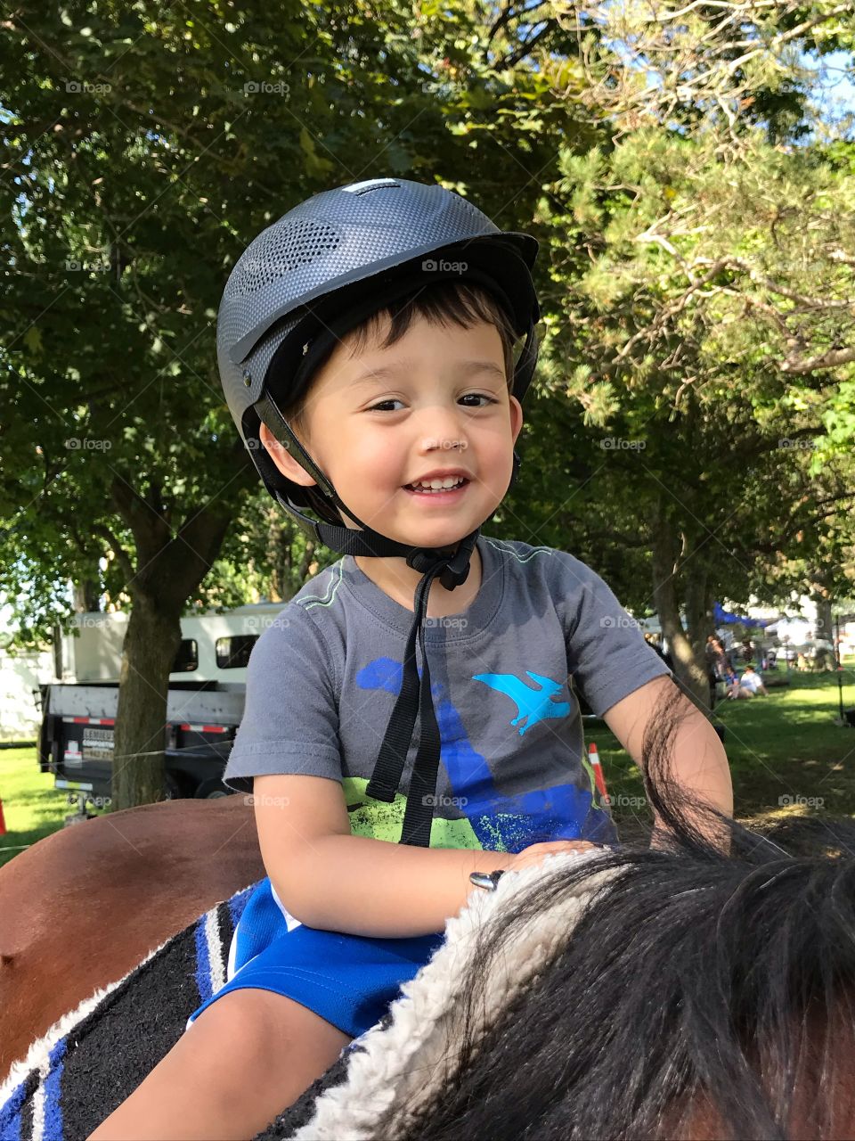 Young boy on a horse in the summer