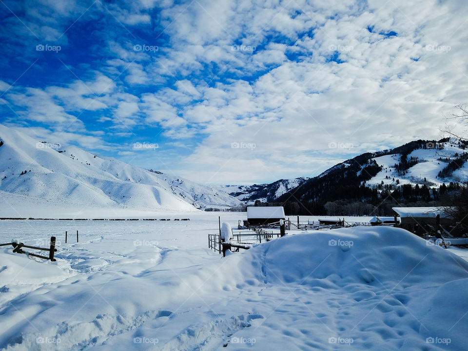 View of snowy landscape