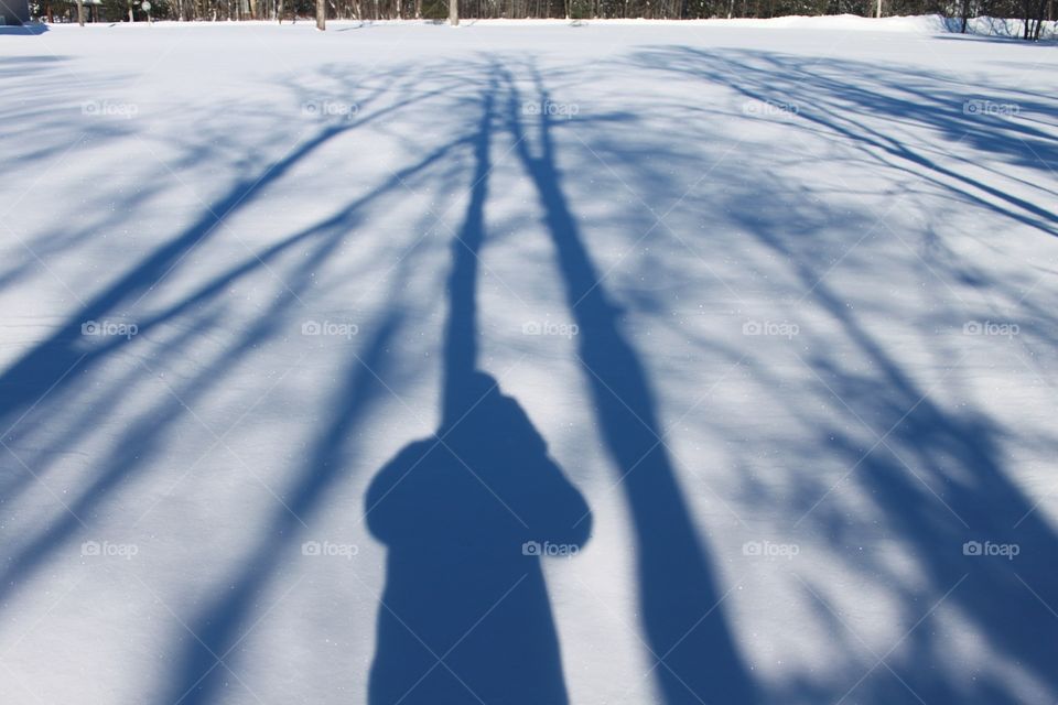 shadows in the snow 