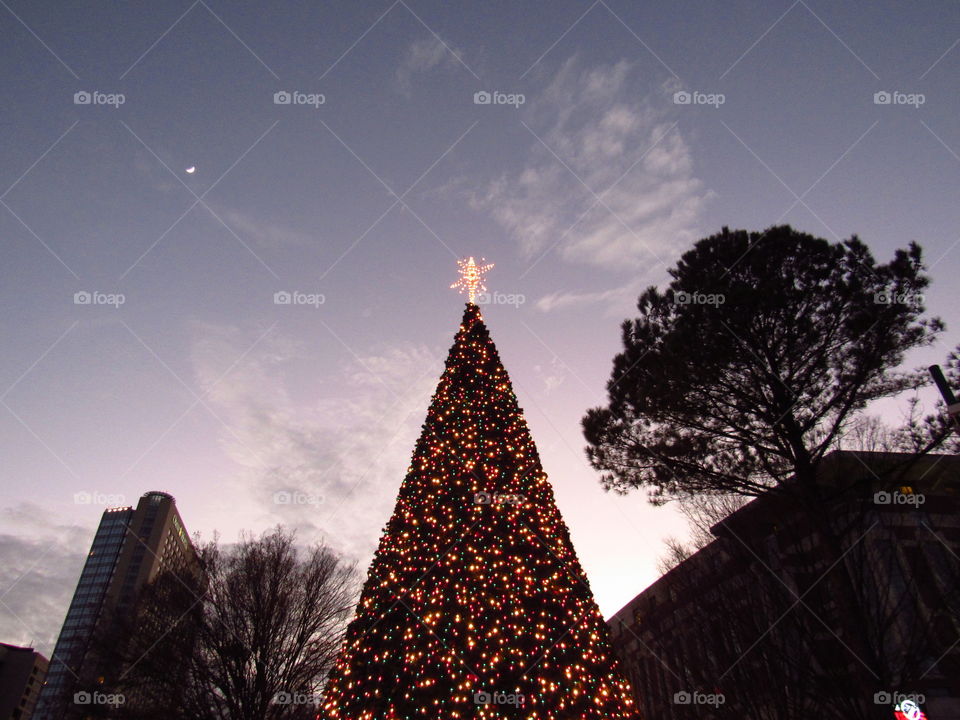 Illuminated christmas tree