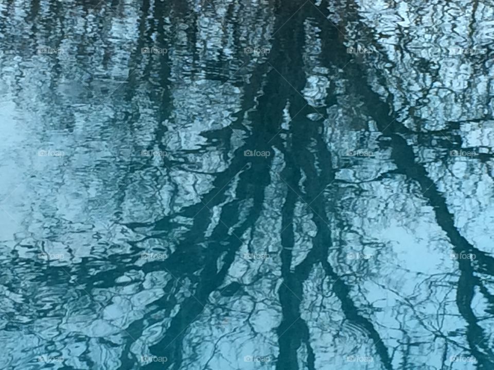 Water Reflections 