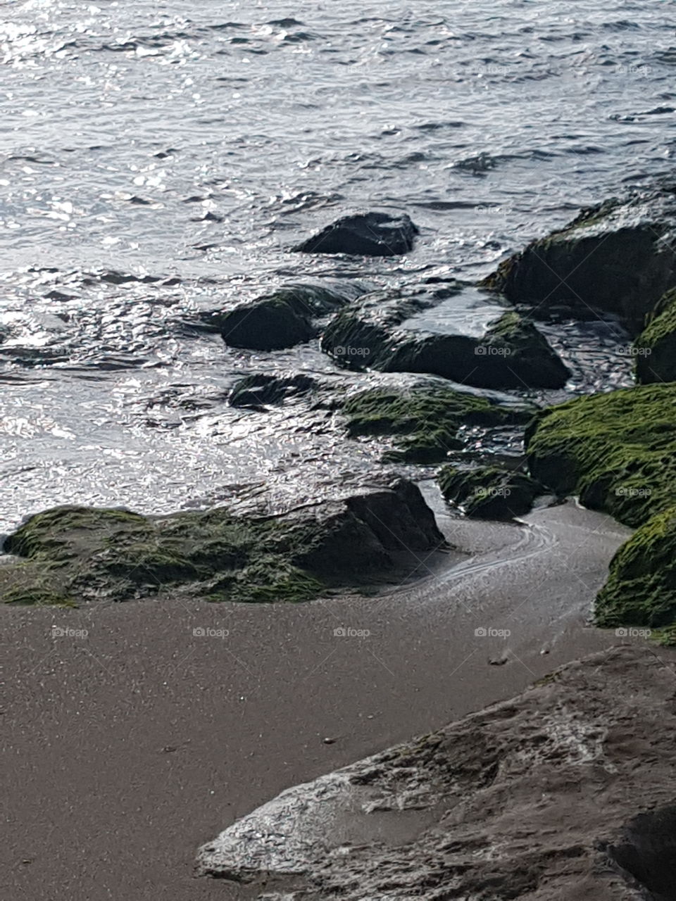 Seashore rocks