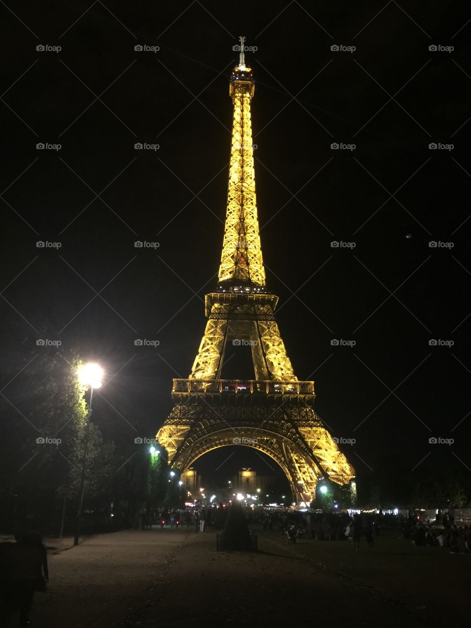 Eiffel Tower at midnight 