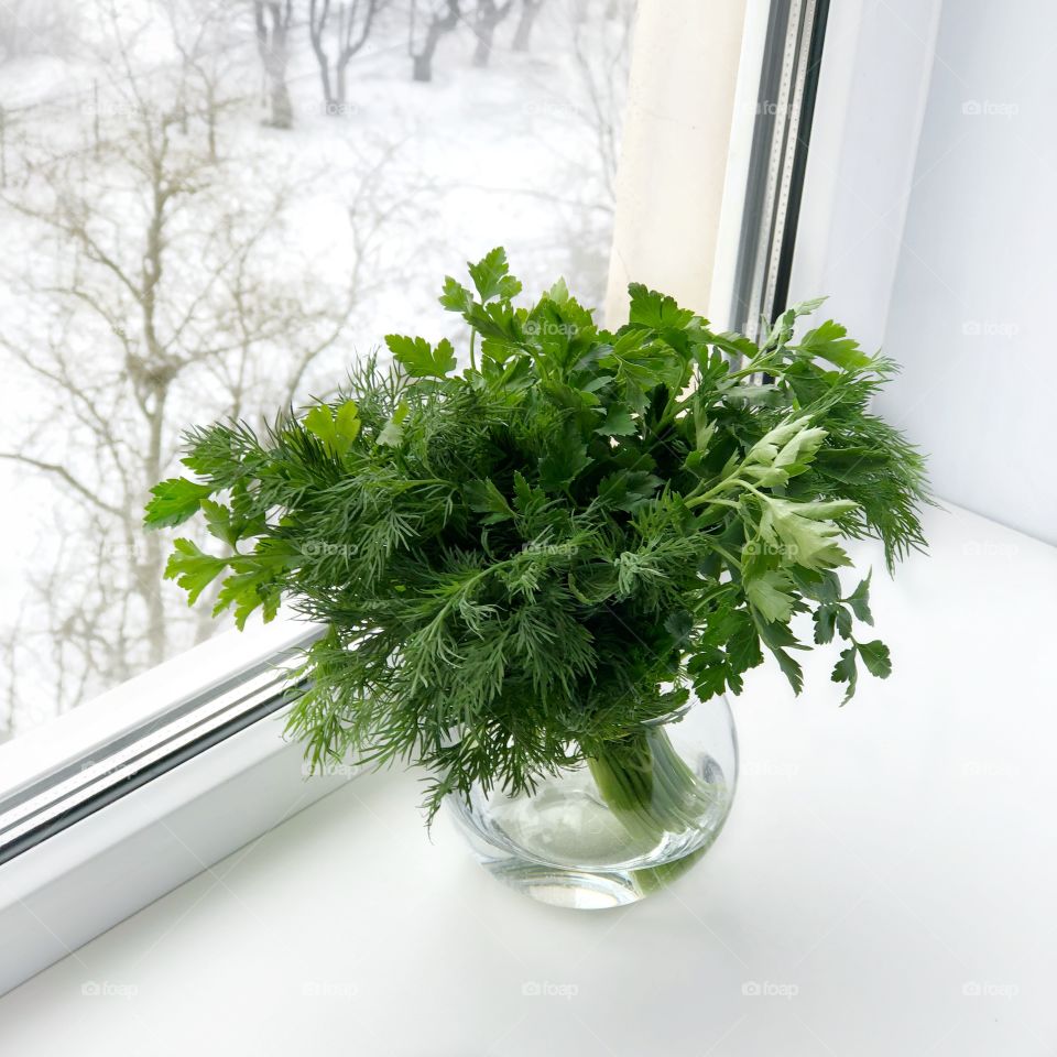 Green parsley in vase 
