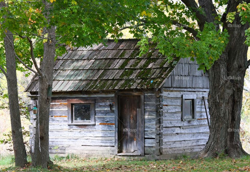 Log Cabin