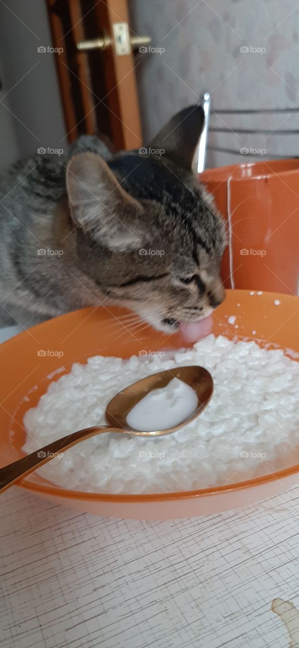 Внуснотища    та   какая,      в    её тарелке!