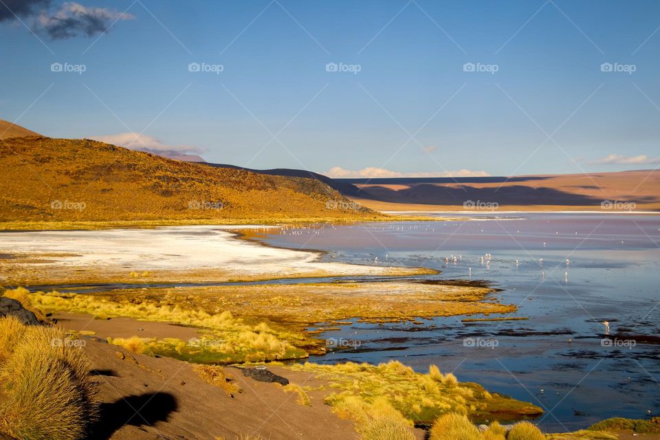 Beautiful landscape in Bolivia