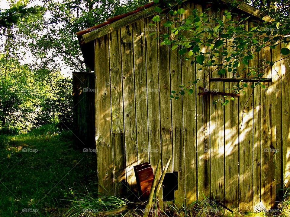 Ruffig hydda i skogen