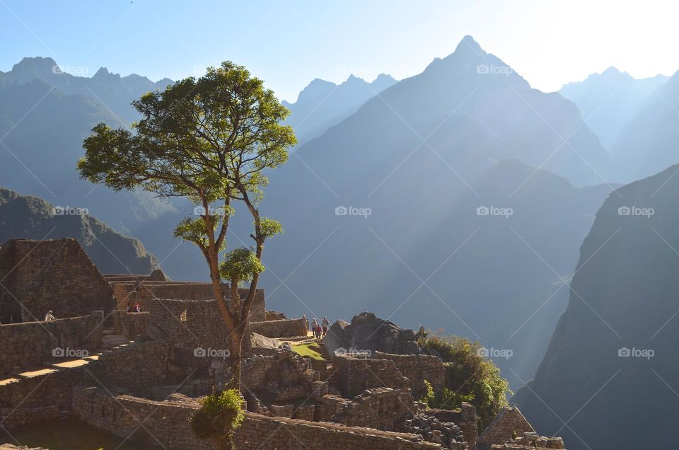 Symphony of nature and archaeology during early morning hours at Machu Picchu archaeological site in Peru. 