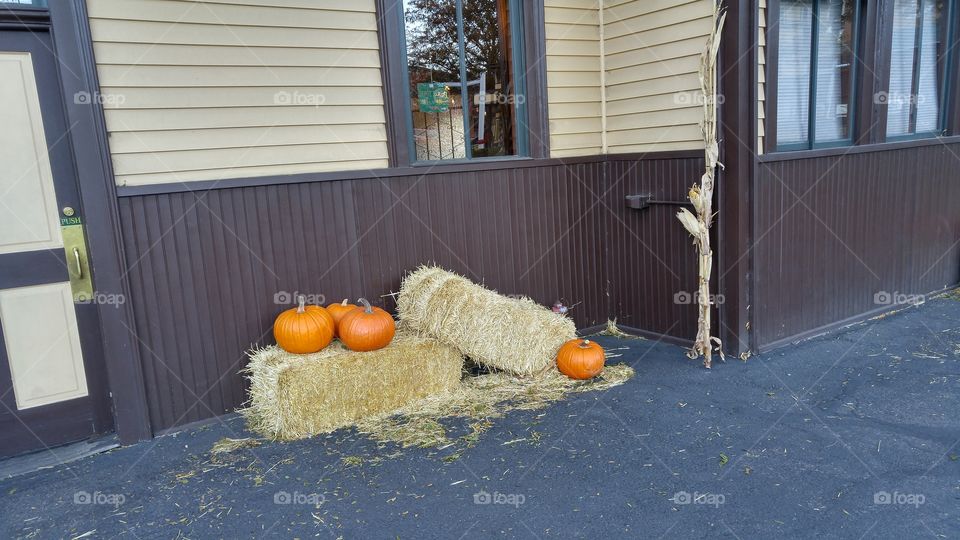 Cornstalk, straw bales and pumpkin decorations