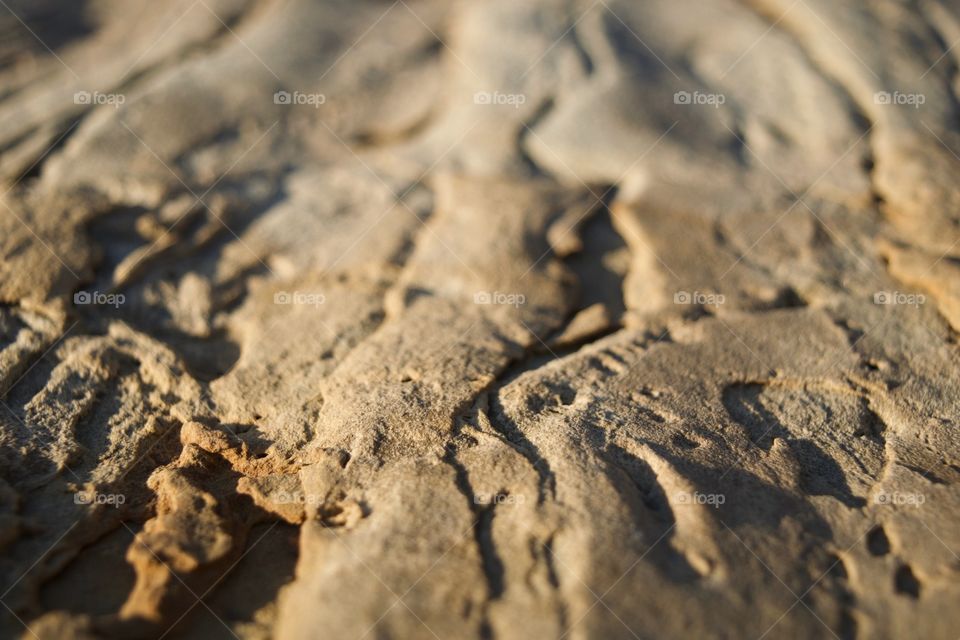 Sandstone close up
