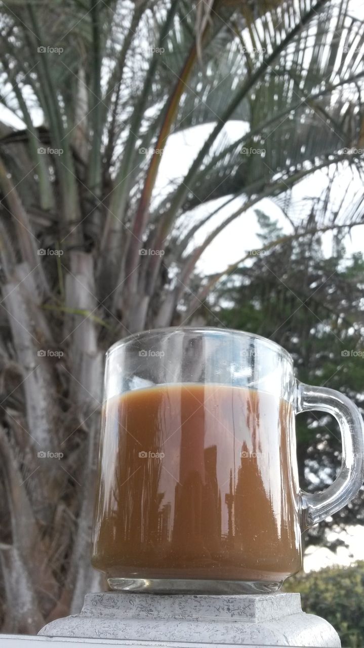 Coffee Under the Palms