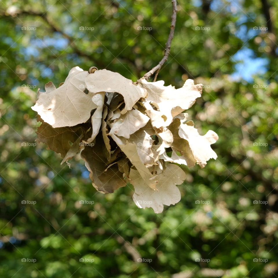 first signs of autumn