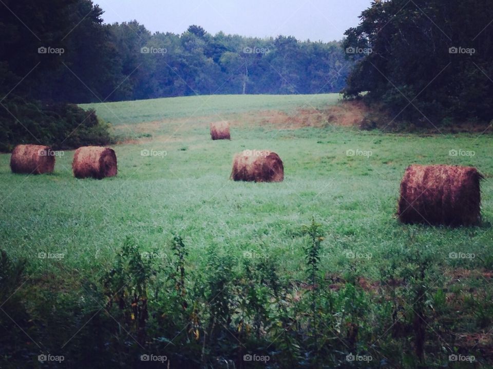 Rolled hay prep