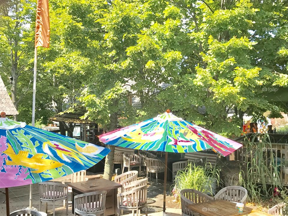 Colorful umbrellas 