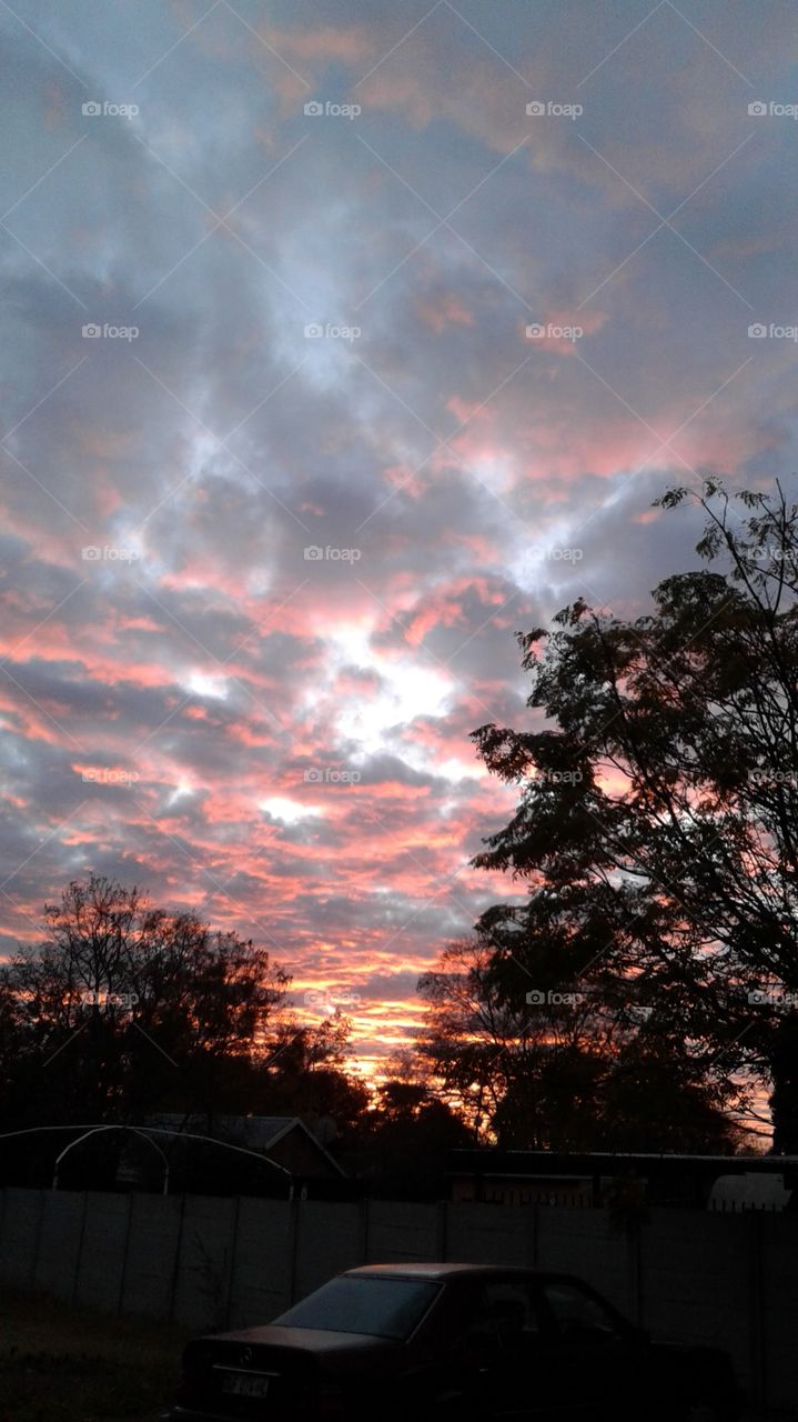 when the sun is coming up in the morning