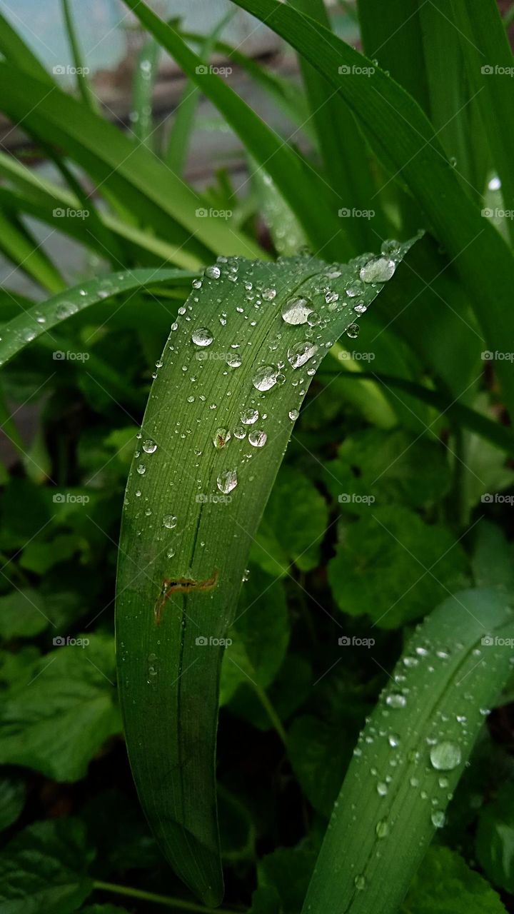 rain is what connects heaven and earth, eternally distant from each other