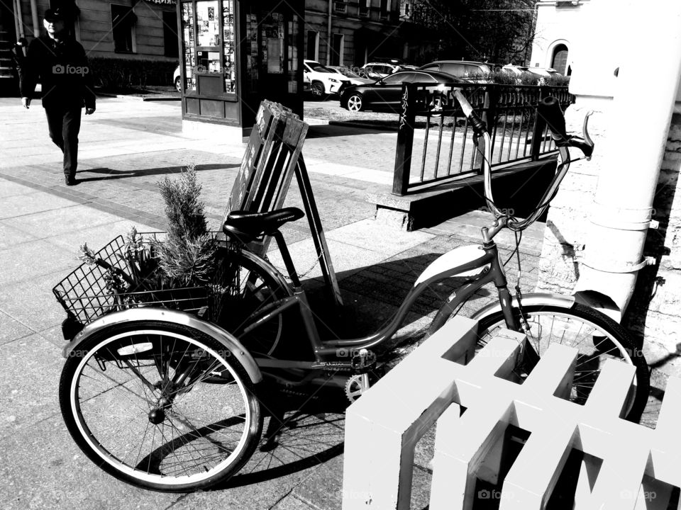 door   day   Architecture   built structure   window   no people   Place of worship   building exterior