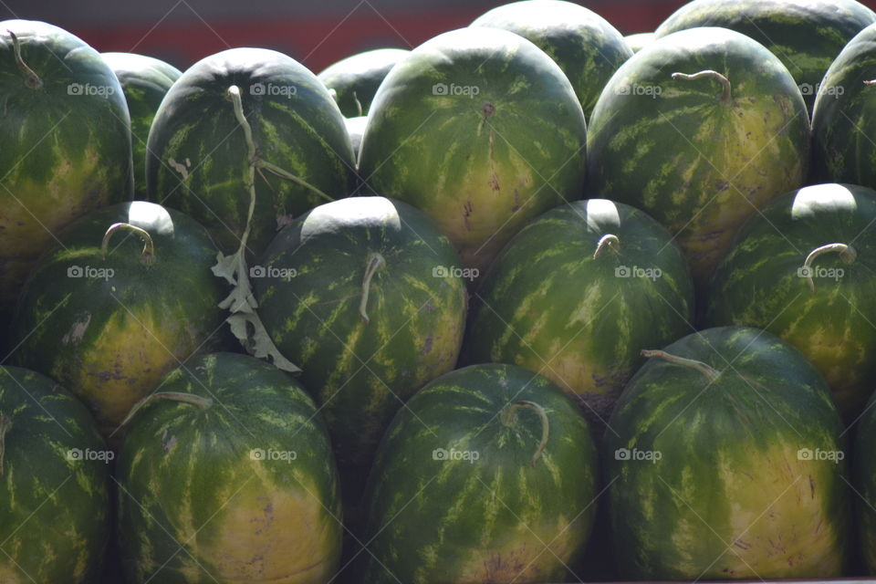 watermellons