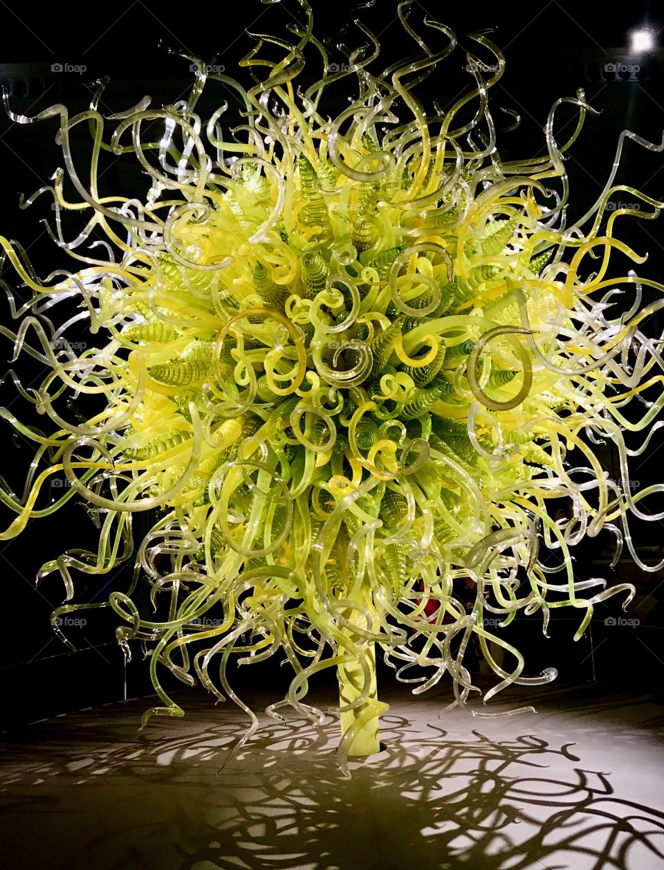 Chihuly Exibxit at New York Botanical Garden