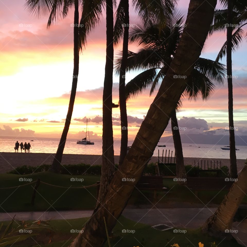 A stunning pink, yellow, and purple sunset over the ocean visible from the luau we attended at the Westin in Maui, Hawaii. 