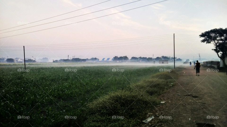 Fogg over green field
#India