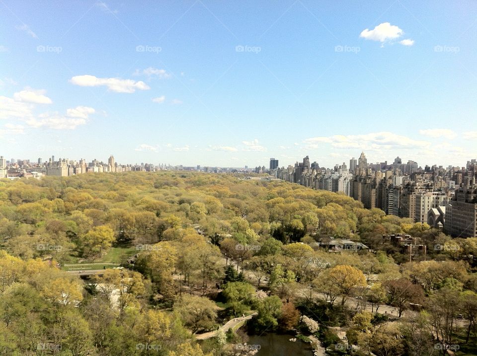 Central Park. Central Park Manhattan Ney-York