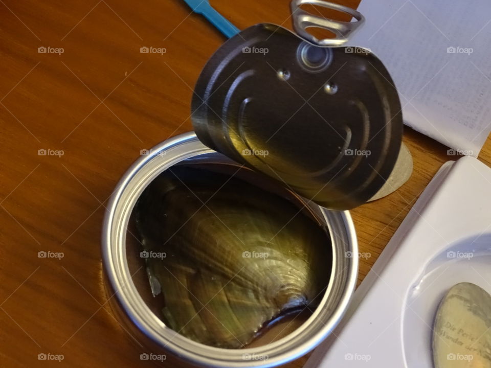 Oyster in the can