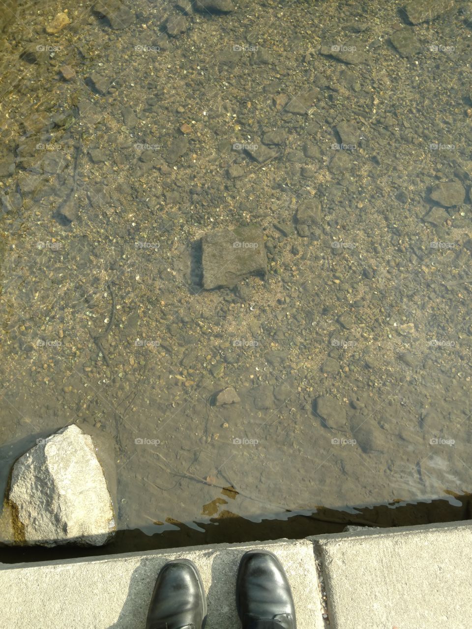 looking to the bottom