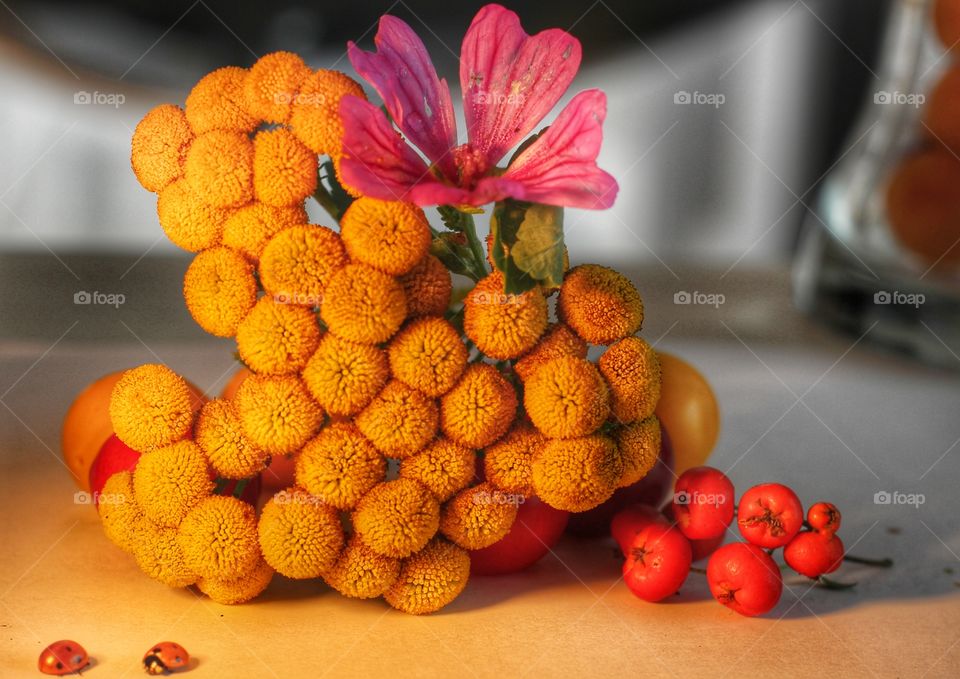 Ladybugs with Fruits flowes macro