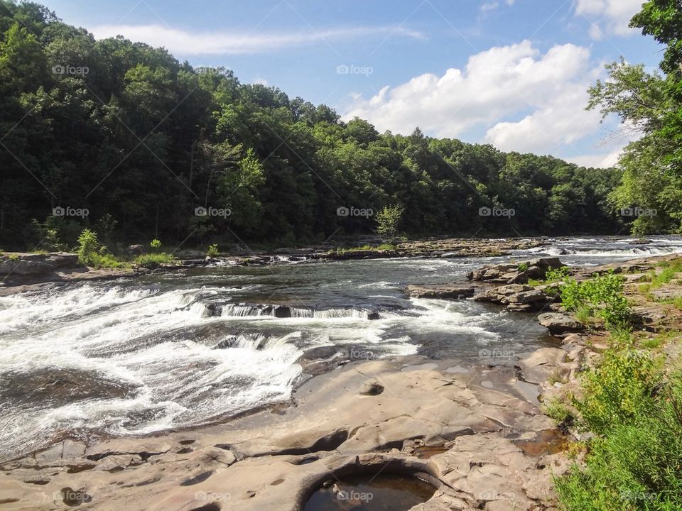 Rocks, River, trees