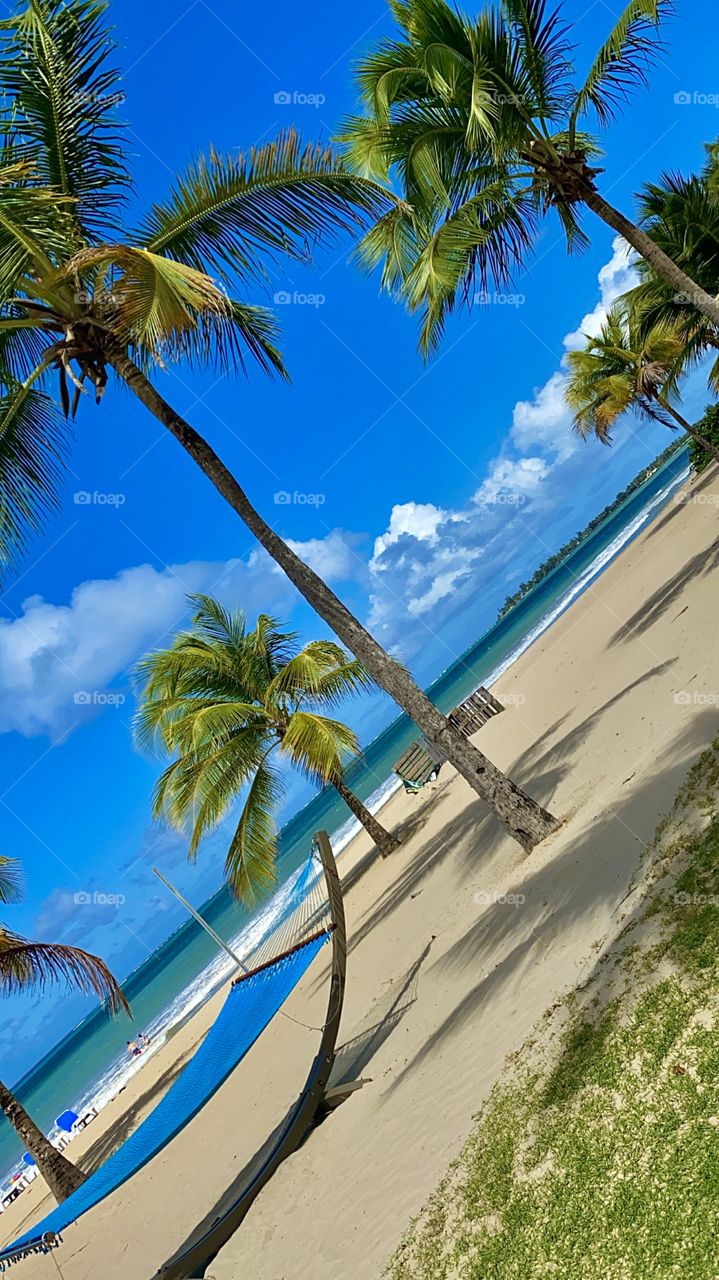 calmness by the ocean laying in a hammock listening to the sound of the ocean 