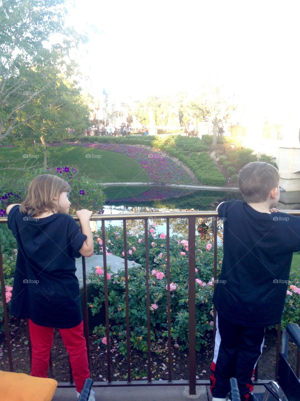 People, Park, Garden, Child, Flower