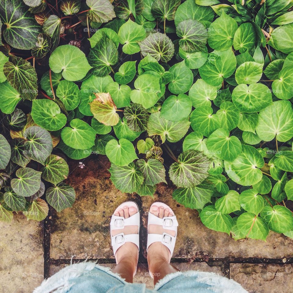 Standing in botanical garden