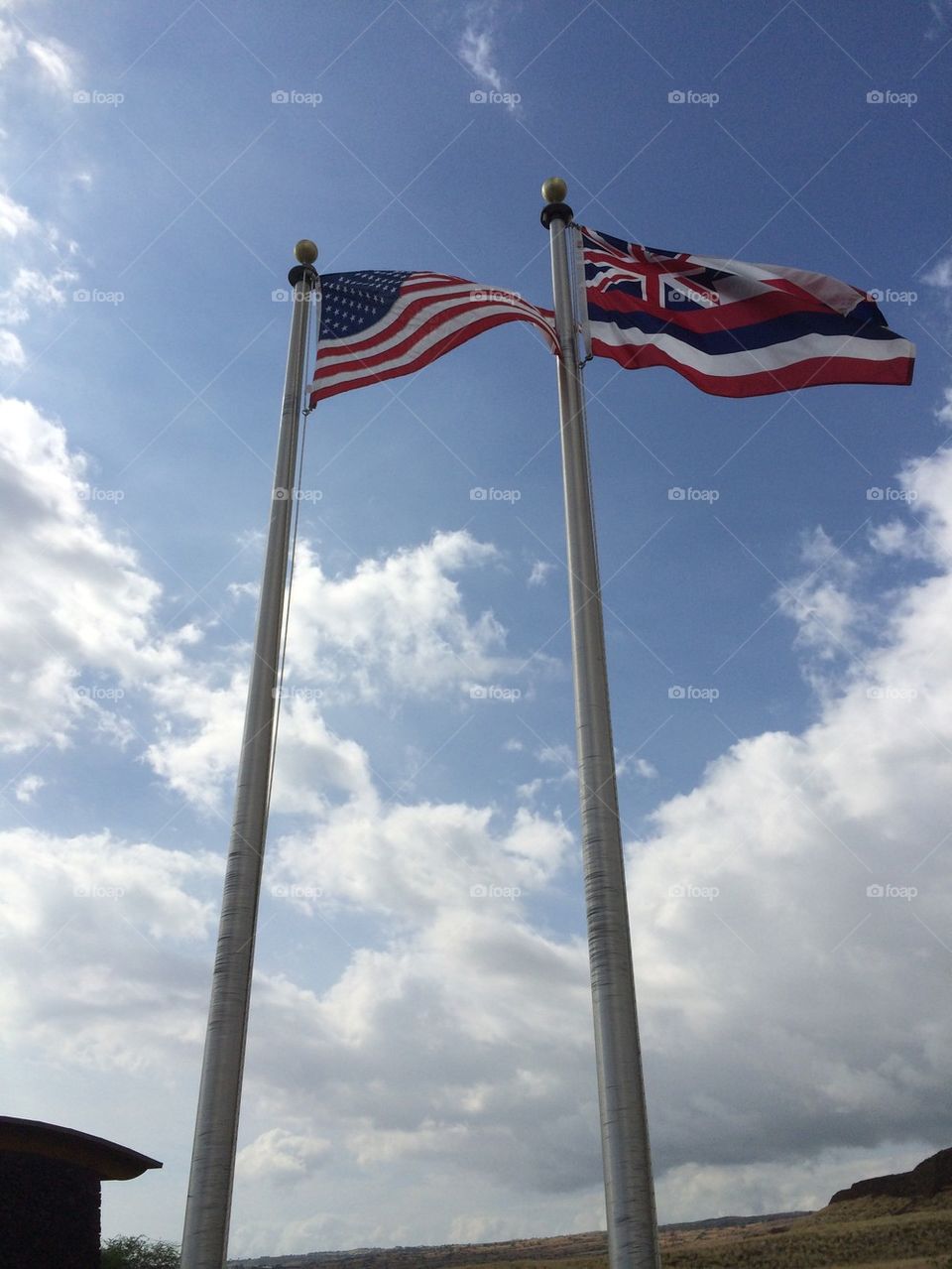 American and Hawaiian flags