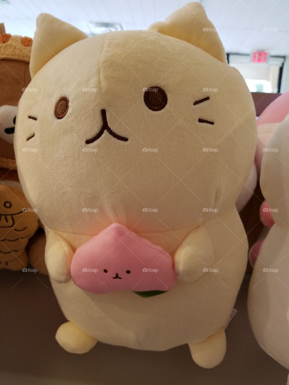 A Cute Japanese Cat Blushy