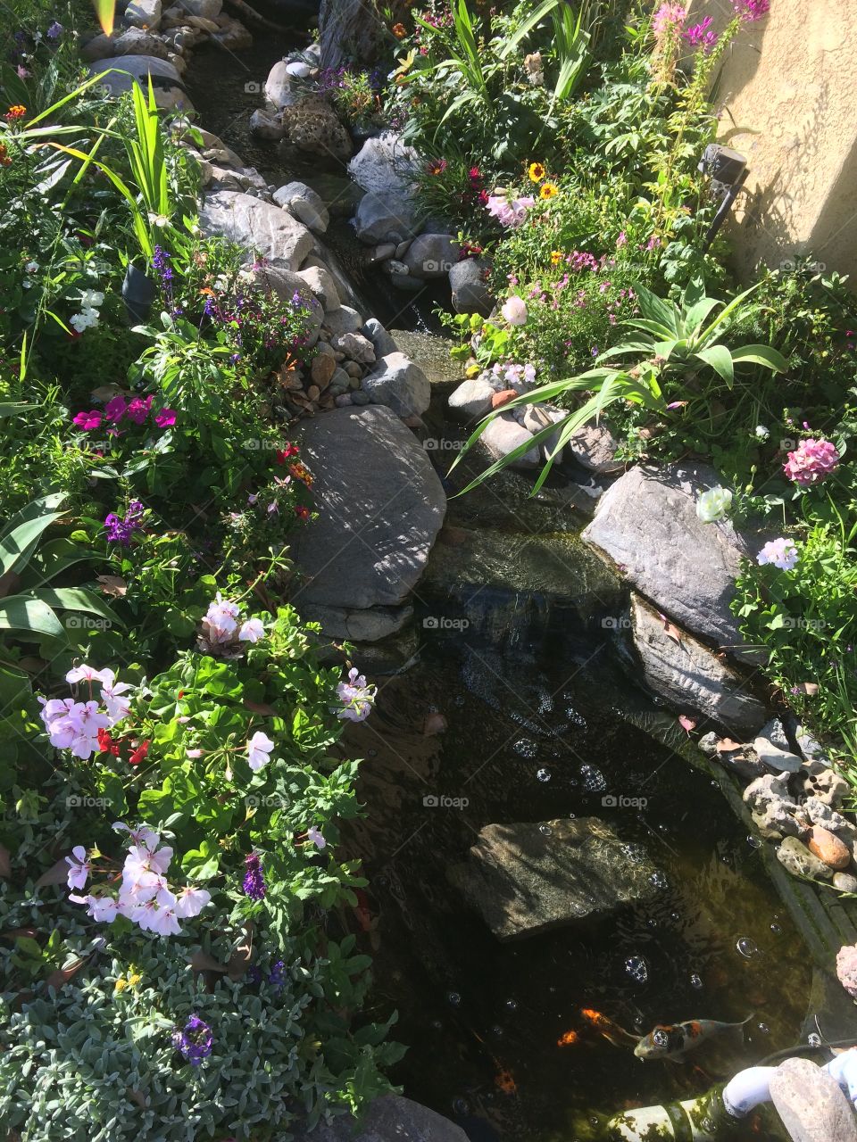 A clear stream flows between rocks amidst a tranquil, colorful flower garden.