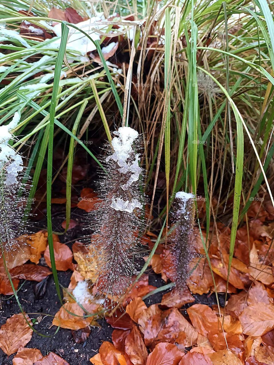 Parc de Mariemont , la louviere