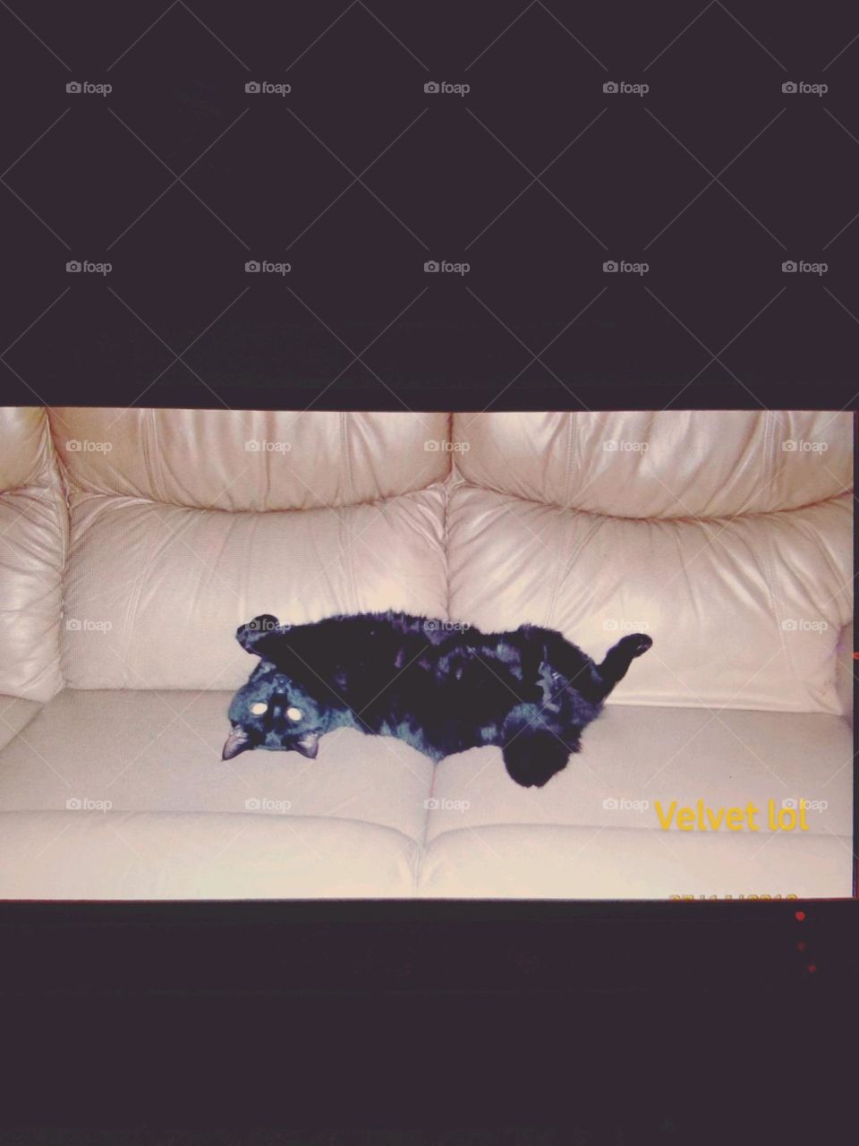 Black cat laying on tan leather couch. Cat is looking at camera while laying upside down.  Funny cat pic!