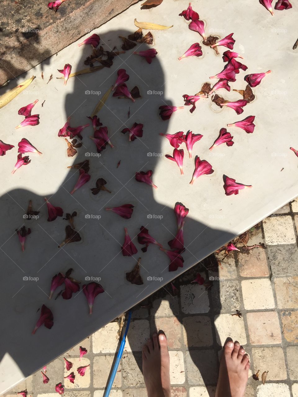 Shadow of a selfie on a table and floor with flowers 