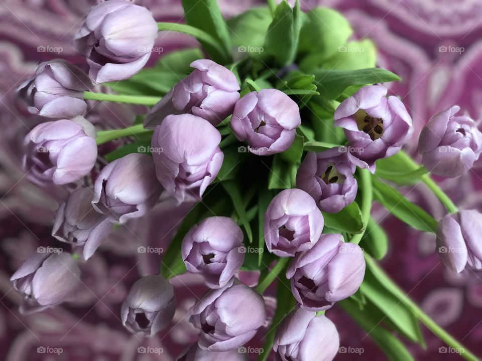 Bouquet of lilac tulips on the table