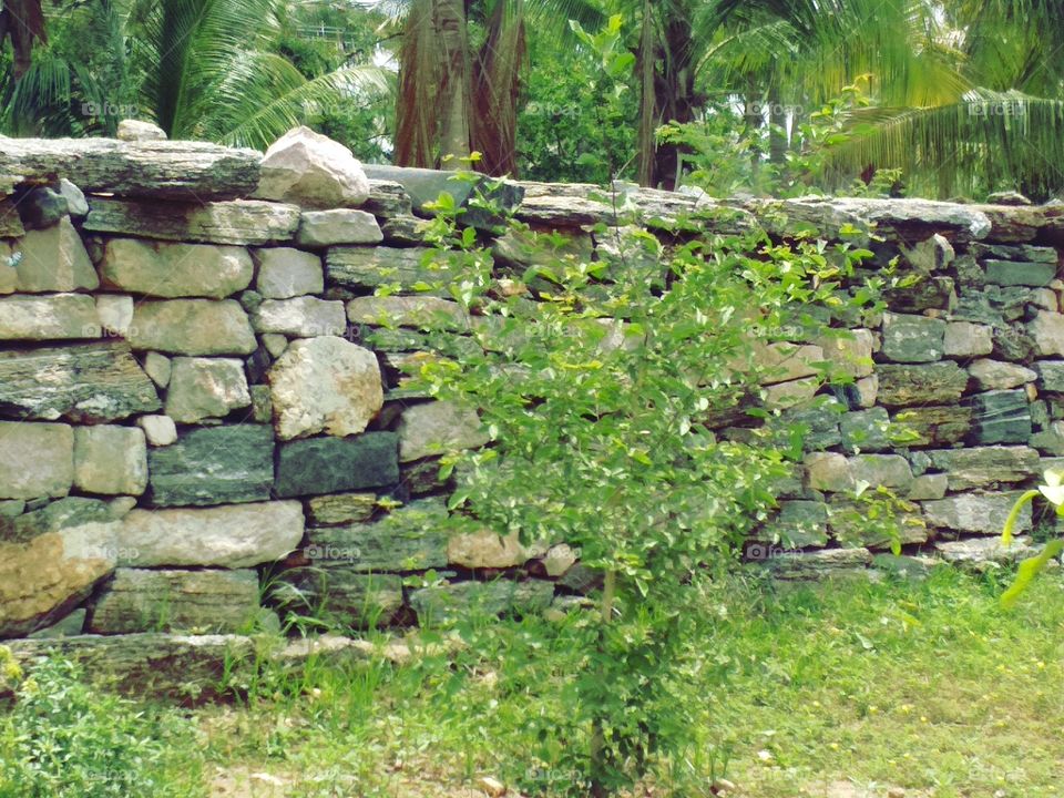 Stone compound near a bush