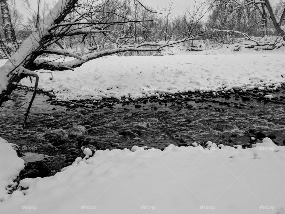 Frozen winter stream