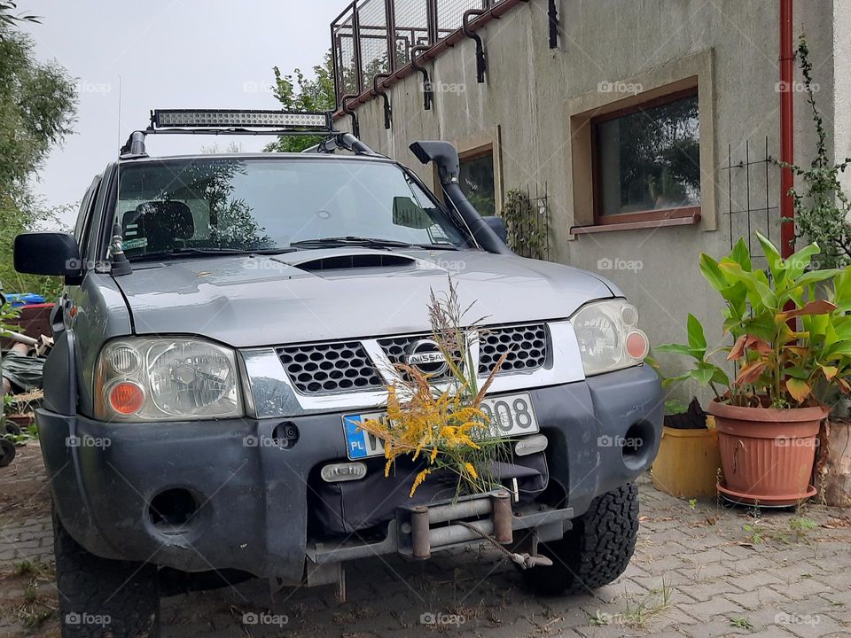 car adorned with autumn flowers