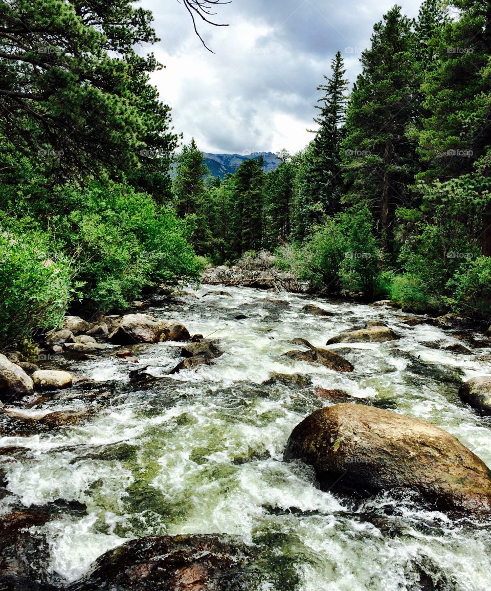 River running thru a Colorado forest